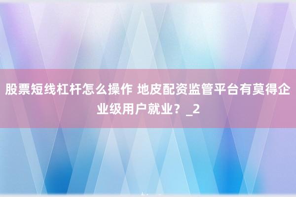 股票短线杠杆怎么操作 地皮配资监管平台有莫得企业级用户就业？_2
