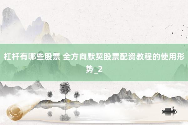 杠杆有哪些股票 全方向默契股票配资教程的使用形势_2